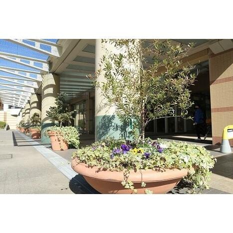 신주쿠구 | 도에이 신주쿠선 아케보노바시 역 도보 6분 거리 | 9층 | 2SLDK | 78.16㎡ | 334,300엔 매물 사진 4