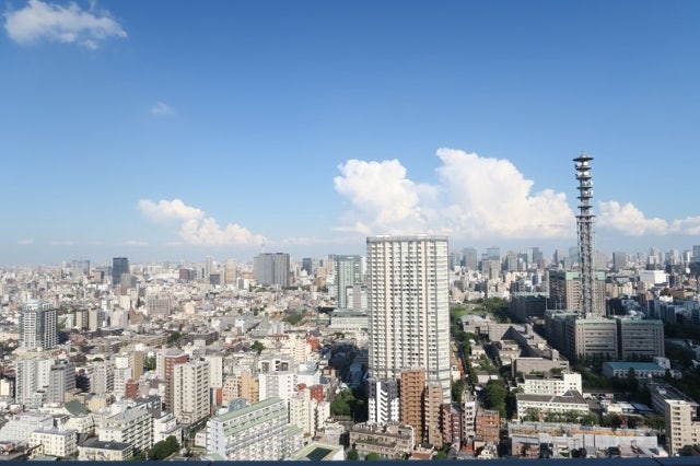 도쿄도신주쿠구 | 도에이 신주쿠선 아케보노바시역 도보6분 | 36층 1LDK 73.15㎡ | 월 401,400엔 매물 이미지 9